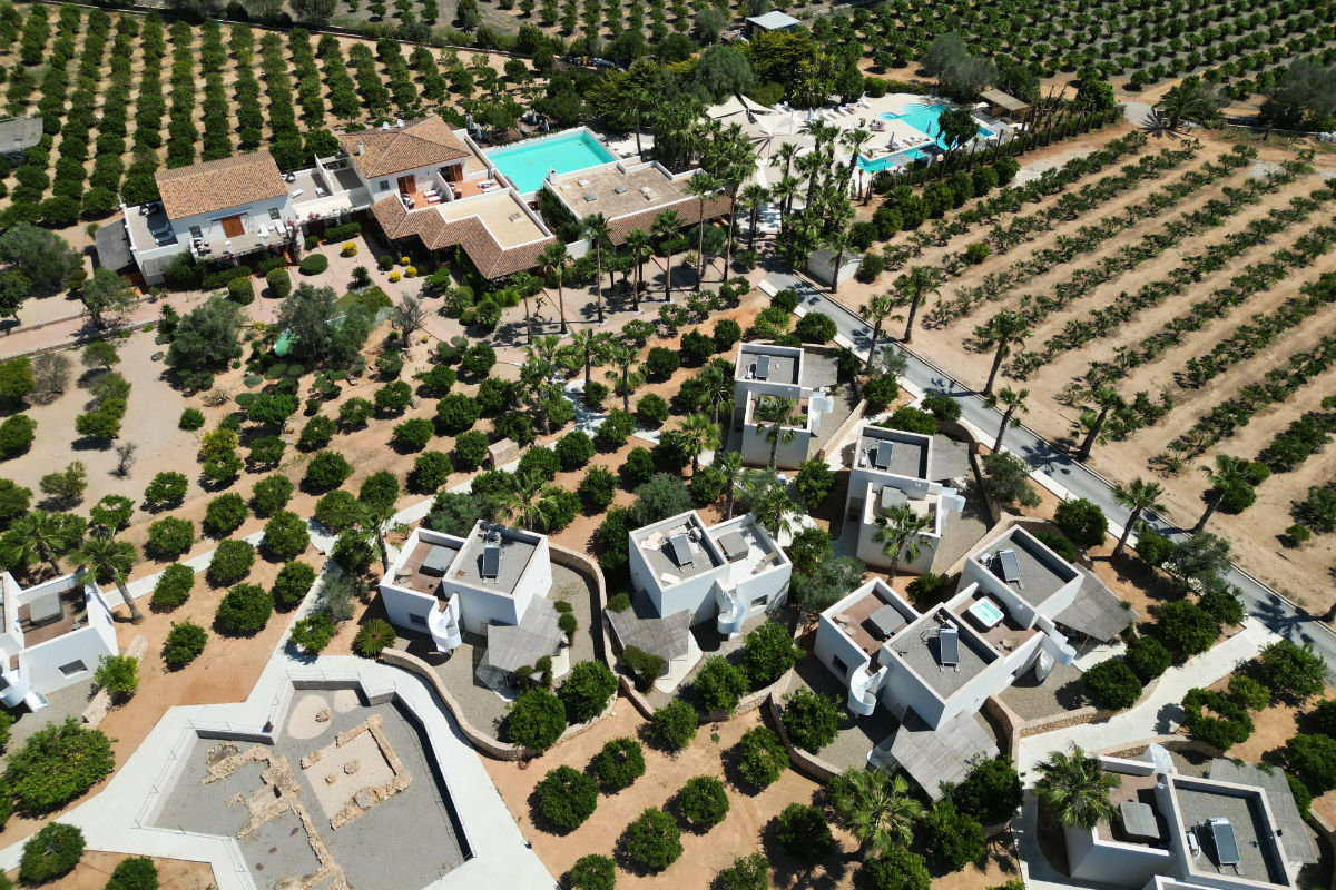 imagen ocean drive ibiza